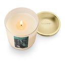 Blackberry Absinthe Signature Glass Candle