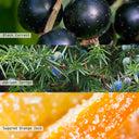 Confetti Balsam Glitter Glass Candle