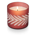 Cardamom Pomander Gather Glass Candle - Illume Candles - 46287011000